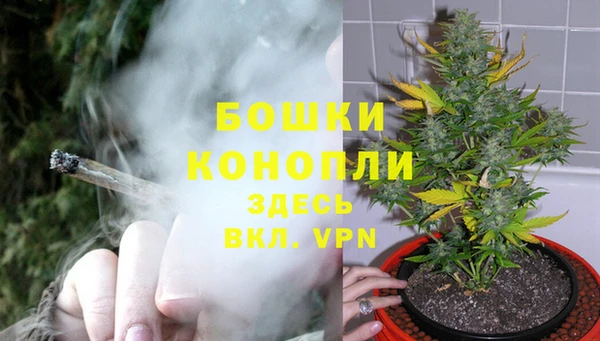 марки lsd Богданович