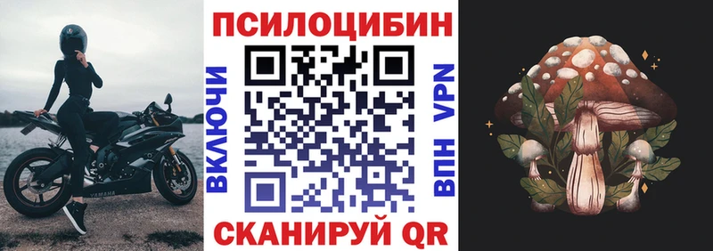 как найти закладки  Верещагино  Галлюциногенные грибы Psilocybe 